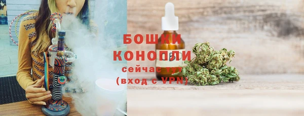 дурь Краснослободск
