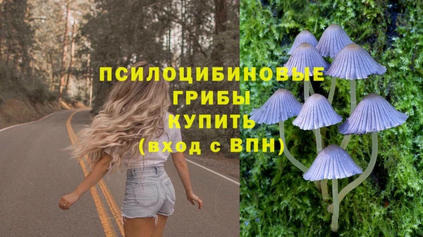 гидра Кулебаки