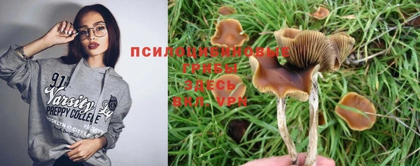 дурь Краснослободск