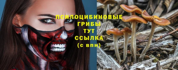 дурь Краснослободск