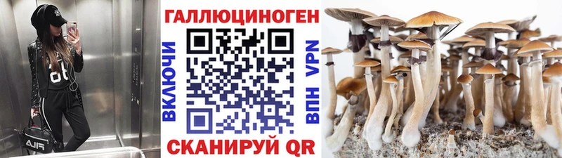Галлюциногенные грибы мухоморы  даркнет сайт  Хадыженск 